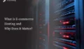 What Is E-commerce Hosting?