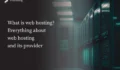What is web hosting