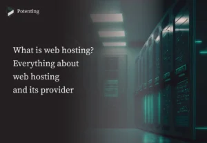 What is web hosting