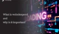 What is website speed and why is it important