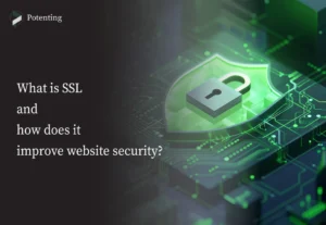 What is SSL