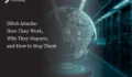 What Is a DDoS Attack